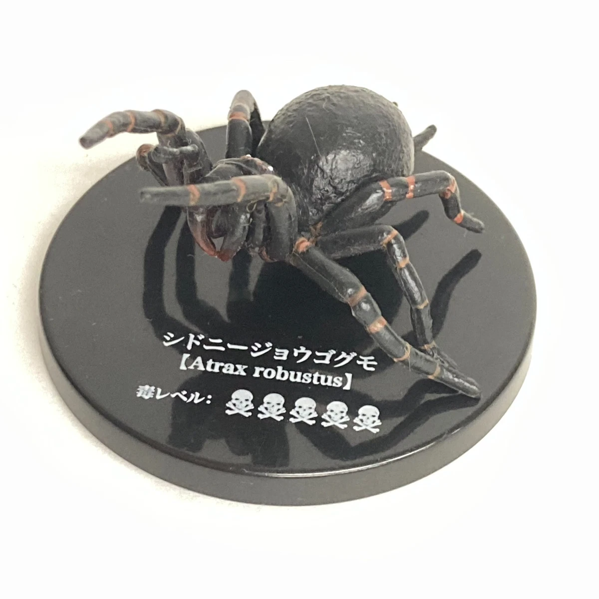 蜘蛛收藏品| eBay