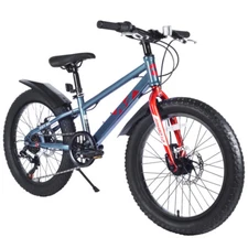 20 Inch Kids Bicycles Fat Tire Mountain Bike for Boys and Girls Age 5 + Years