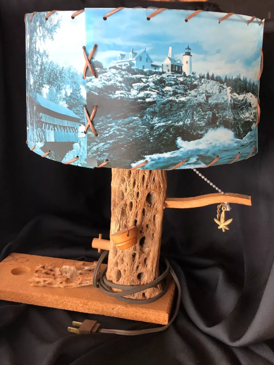 Cactus lamp shade deals