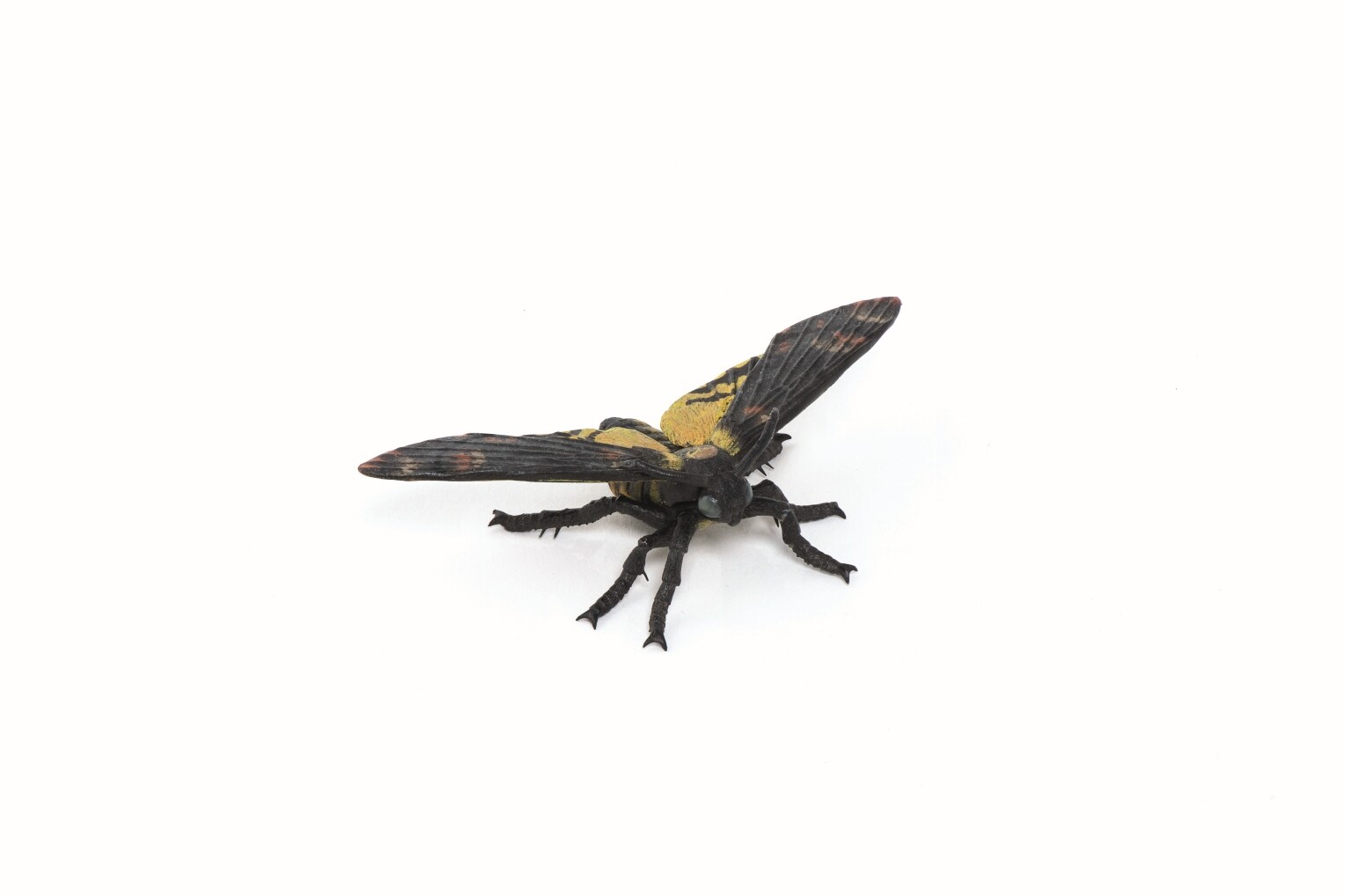 Papo 50299 Moth 7 Cm Wildlife