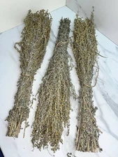 10 Tarragon brooms sauna banya venik oak birch whisks eco 2025 Ukrainian