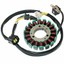 Indexbild 1 - Stator for Suzuki DR-Z250 DRZ250 2001 2002 2003 2004 2005 2006 2007