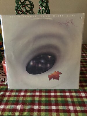 VINTAGE Robin Thrower Long Misty Days 1976 12'' ROCK VINYL LP ALBUM RECORD