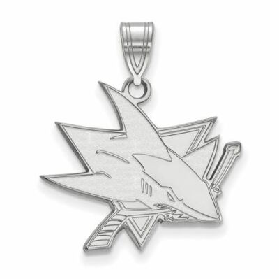 SS NHL San Jose Haie großer Anhänger