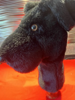 GOLF, big dog, head cover, no nonsense, they know how far you hit it,NEW, $49,