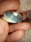 40.5 Tcw Rough Australian Lightning Ridge Multi Color Opal Water — photo 8