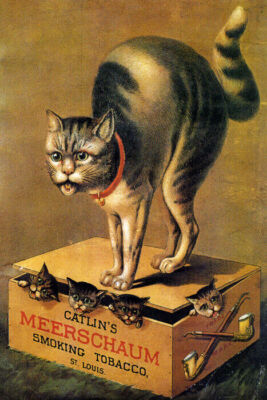 cat smoking cigarette painting CAT KITTENS SMOKING TABACCO BOX ST. LOUIS VINTAGE POSTER REPRO