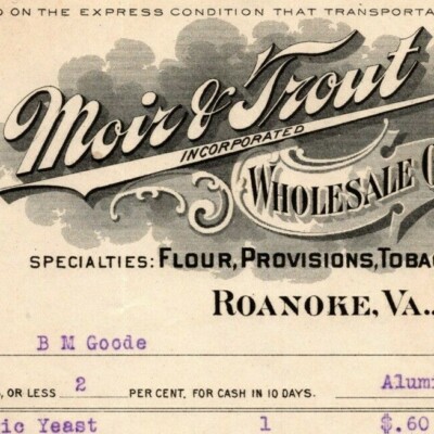 1907 Scarce Roanoke, VA Letterhead Moir & Trout Flour Tobacco Provisions  Cigars