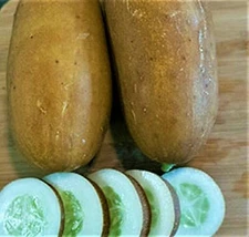 Brown Russian Cucumber Seeds 25 SEEDS NON-GMO --BUY 4 ITEMS FREE SHIPPING