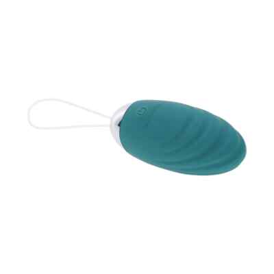 Evolved Oval Office Vibrating Silicone Rechargeable Remote Control Egg Vibe  | eBay