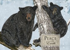 Black Bear Christmas Cards Set of 10 cards 10 envelopes