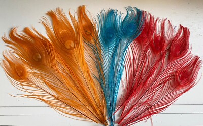 Konvolut 11 Stück Lagune blau rot orange Pfauenfeder Huthalterung Feder zum Basteln