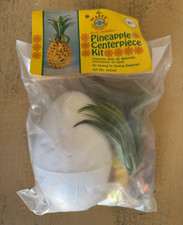 Walco Pineapple Pin Bead Sequin Centerpiece Kit