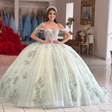 Green Quinceanera Dresses Puffy Applique Sweet 16 Ball Gown Tulle 3D Floral Gown