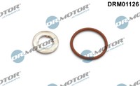 Dr. Motor Automotiv DRM01126 Dichtungsset, EinspritzdüSe FüR Man, Ssangyong, VW