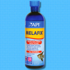 MELAFIX Freshwater Fish Bacterial Infection Remedy 16 Ounce Bottle