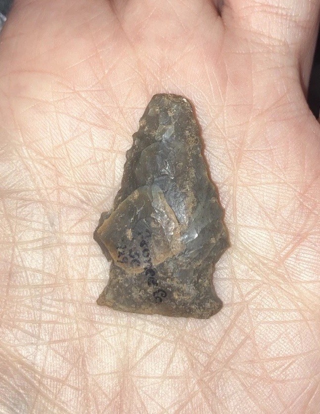 authentic indian artifacts arrowheads pre 1600 Pine Tree, Kirk, Palmer Point SC