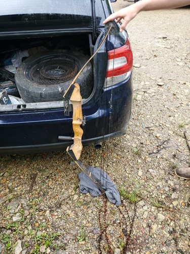 Browning Recurve Drake Flightmaster P5A 1124 Bow. Needs New String That's It.