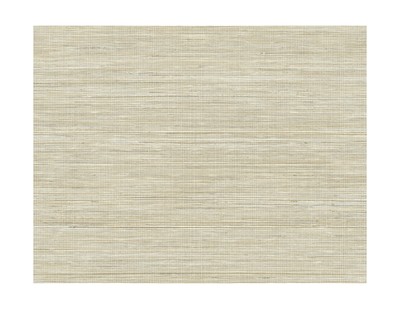 Kenneth James PS41507 Brown Baja Grass Texture Wallpaper, 2 Piece