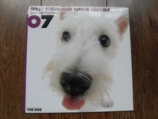 SCOTTISH TERRIER PUPPIES 2007 Wall Calendar