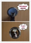 Bild 2 von 5