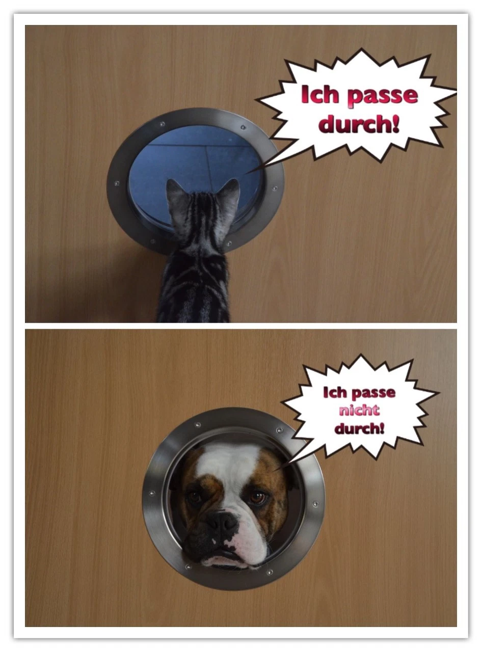 Bild 2 von 5