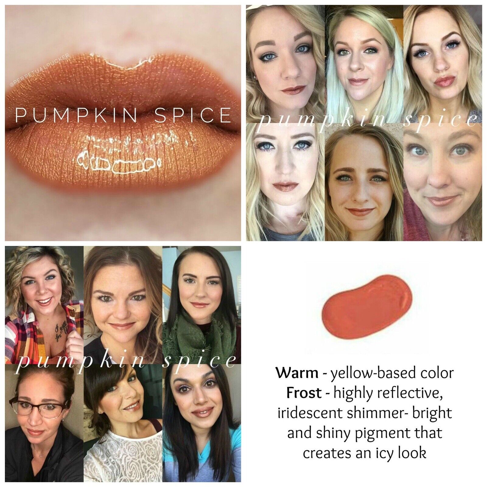 Pumpkin Spice Lipsense Full Size New/Sealed Authentic Liquid Lip Color Senegence