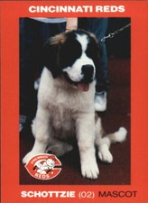 B5974- 1992 Reds Kahn's Baseball Card #s 1-49 -You Pick- 15+ FREE US SHIP