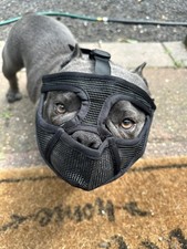 French Bulldog Mesh Muzzle Short Snout Tongue Out Prevent Chewing FlatFace XS US