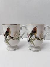 Shafford Chinese Garden Mugs