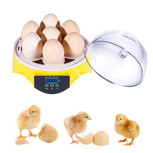 Egg Incubator Hatching Machine Breeder Portabel Chicken Eggs Hatcher for 7 Eggs - Picture 6 of 18
