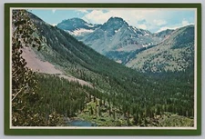 State View~Wilson Peaks @ Ophir Pass Uncompahgre Forest~Continental Postcard
