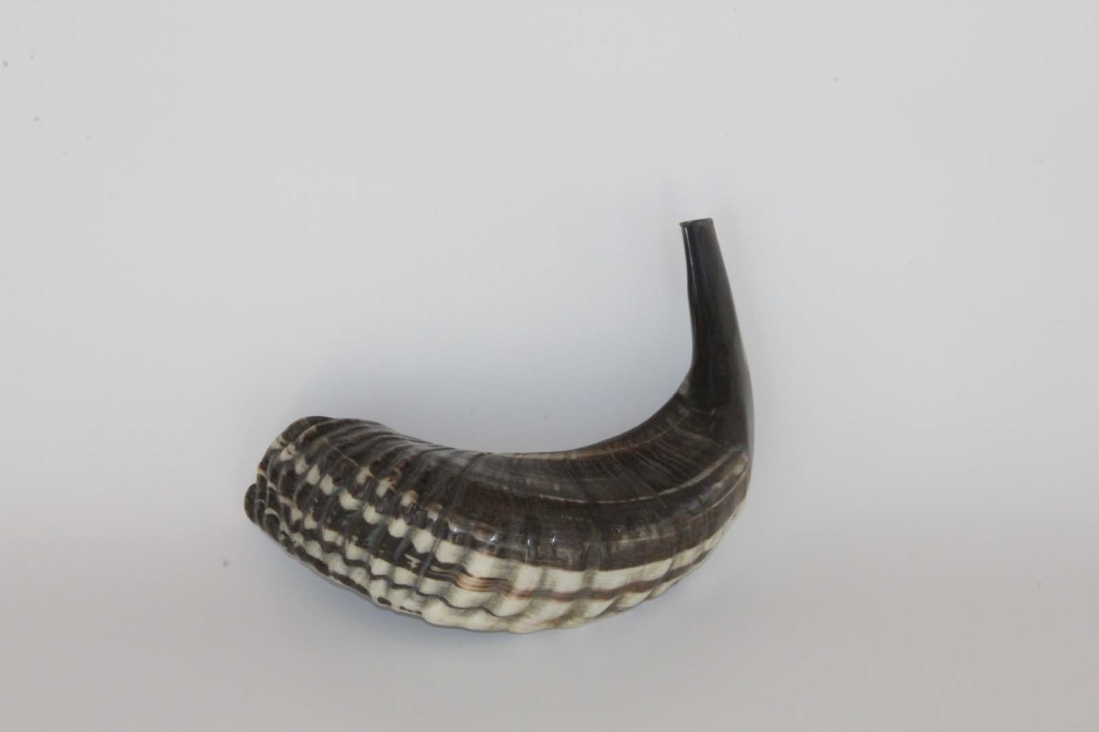 Sale For Natural Ram Rams Horn Shofar Shofars 12''14 Kosher Chofar Clear Sound eBay