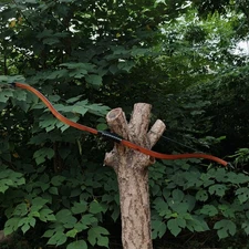 PMZ Archery Traditional Korean Horse Bow 50"Recurve for Target Shooting 20-45lbs