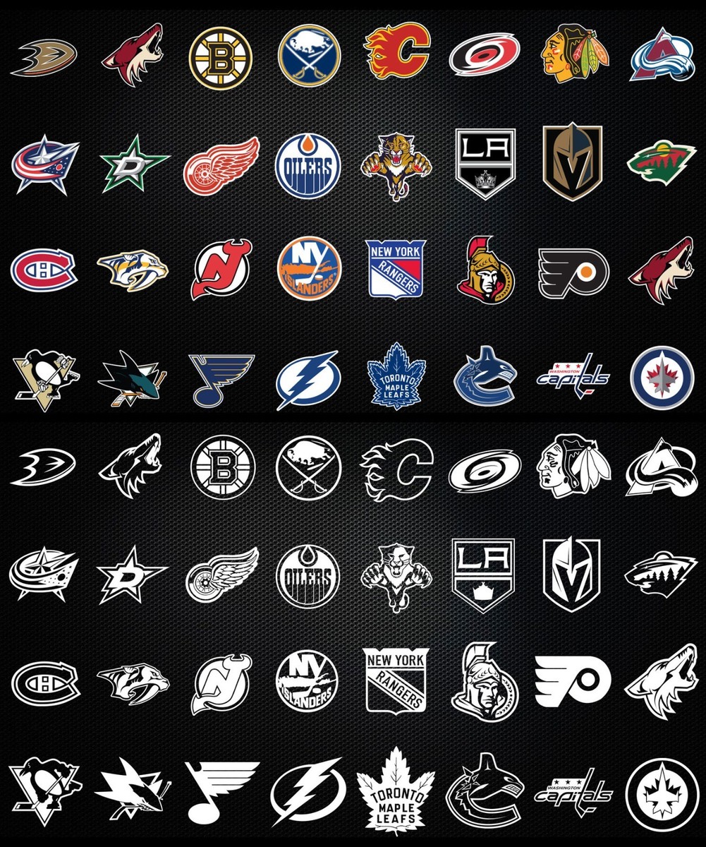 Ice Hockey Player Colorful Vinyl Stickers - 8 Pack, Waterproof Decals For Car, Laptop, Water Bottle
