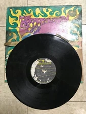 The Sacred Mushroom Vinyl Record 1969 - Parallax Label - Original LP RARE 33
