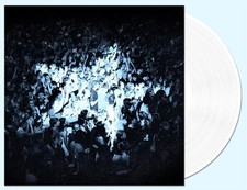The Rions - Everything Every Single Day - Transparent White Vinyl RECORD