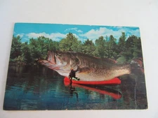 Exaggerated Postcard Of Over Sized Trout In Canoe-Unposted (Paper Attached Rev.)