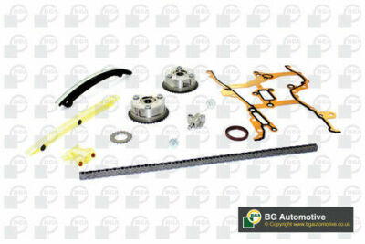 FOR OPEL CORSA D E 1.2 1.4 2009 on Timing Chain Kit 24469105 55353997