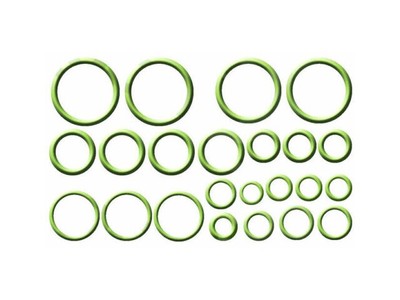 For 1977-1979 Chevrolet Nova A/C System O-Ring and Gasket Kit AC Delco 28517YBGX