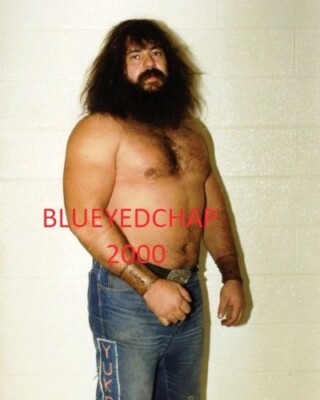 HILLBILLY JIM WRESTLER 8 X 10 WRESTLING PHOTO WWF | eBay