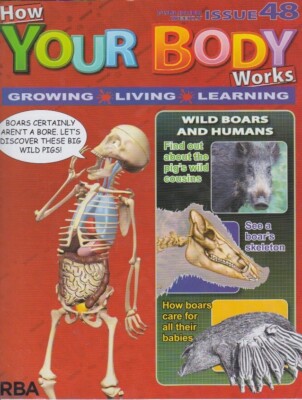 How your body works-issue 48-WILD BOARS AND HUMANS.