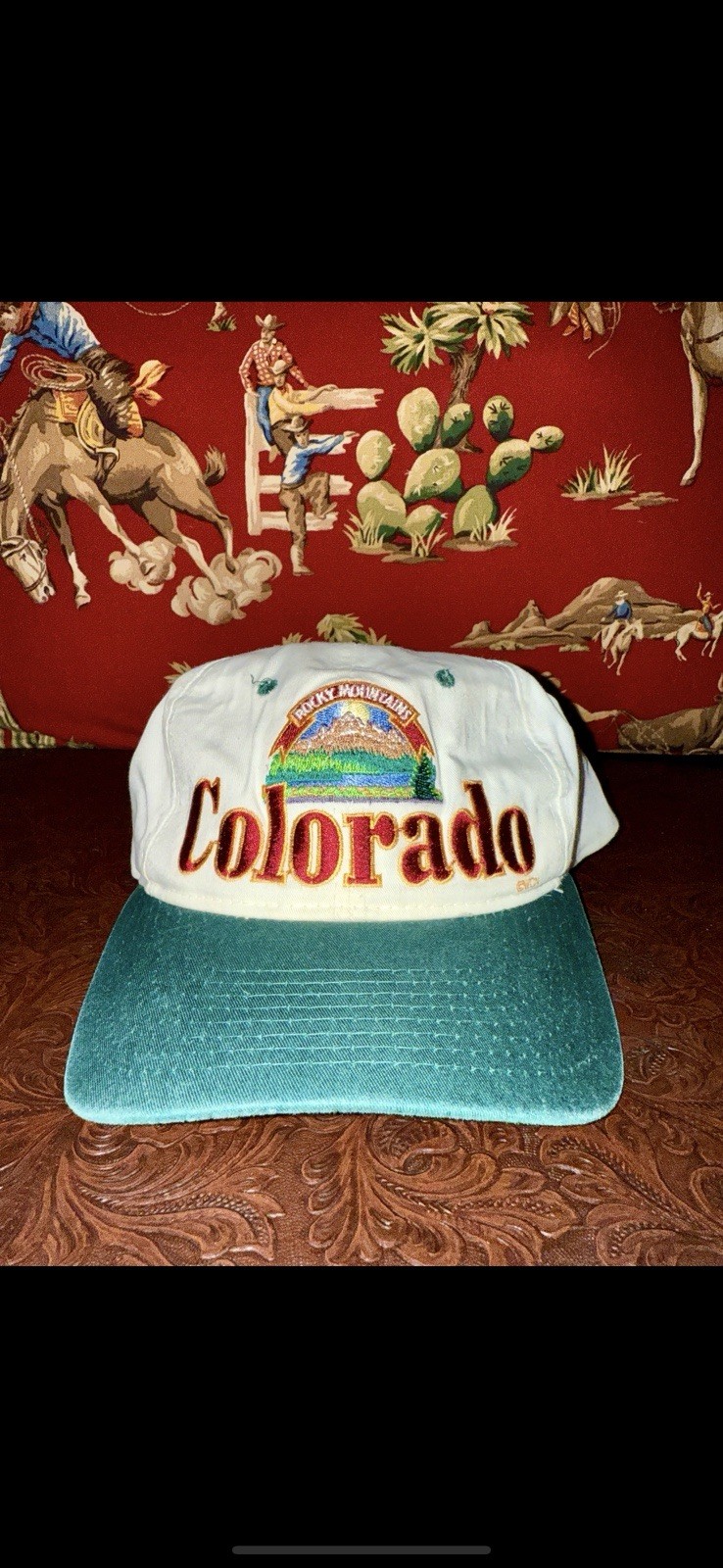 Vintage Colorado Snapback Hat Rocky Mountains  Captain Travel 90s Green Bill