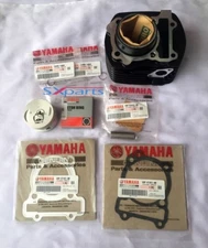 New Genuine Yamaha FZ-16 Complete Cylinder Barrel Piston Kit and Gasket FZ16