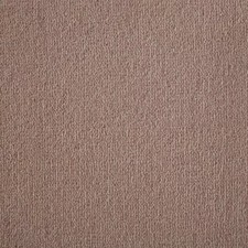 SALE! WESTEX Westex Westend Velvet Westend Muscat 3.8m x 5.9m CARPET CHEAP