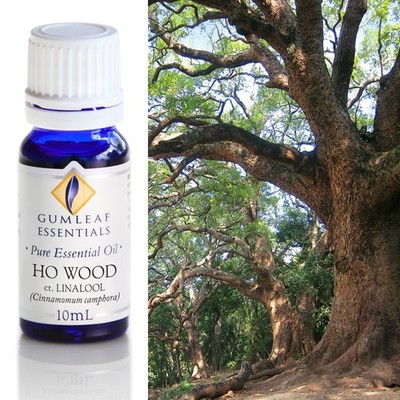 Gumleaf Essentials - Ho Wood - Essential Oil - 10 ml
