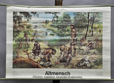 Rollbild Wandkarte Evolution Altmensch Homo sapiens neanderthalensis