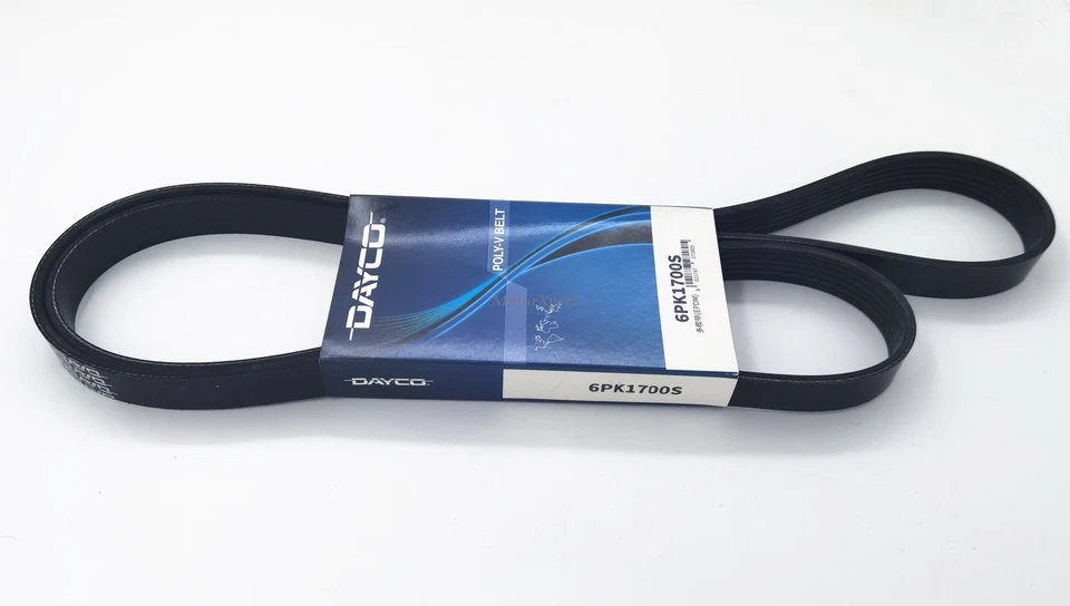 Cinturón accesorio de motor OEM Dayco 03C260849A para VW BEETLE JETTA GOLF AUDI S4 S6 Foto 2 de 3