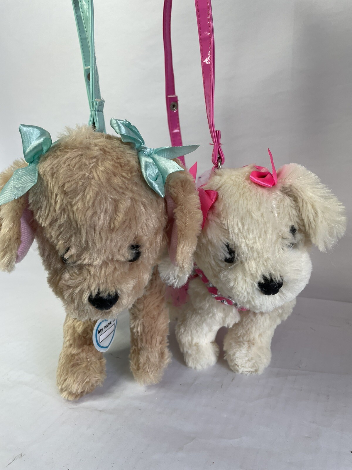 Why Is My Puppy Turning Pink