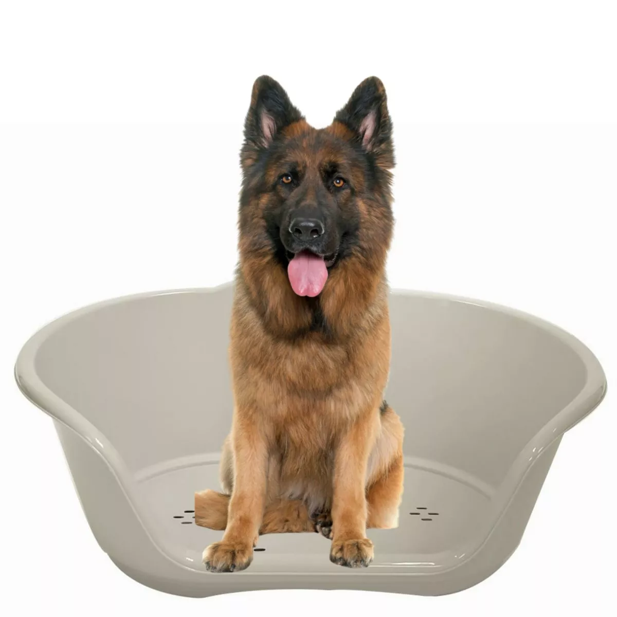 Dog bed basket pet cat puppy heavy duty plastic waterproof x large